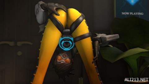 在一支王朝 在一支王朝